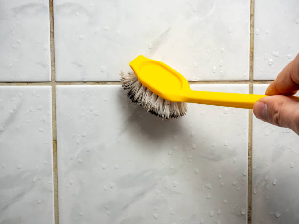 Best Health and Safety Mold Remediation in Booker, TX