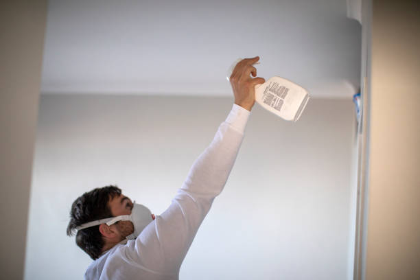 Best Kitchen Mold Remediation in Booker, TX