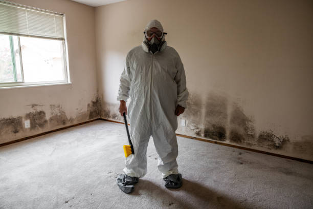 Best Attic Mold Remediation in Booker, TX