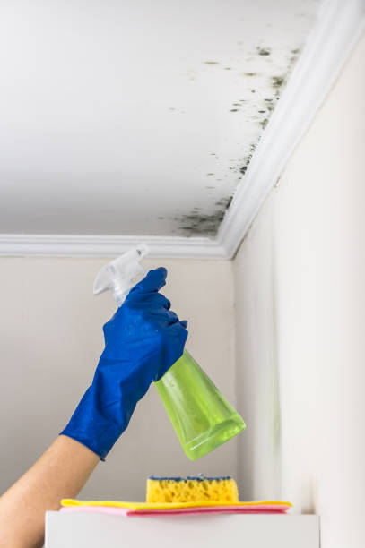 Best Mold Remediation for Schools in Booker, TX